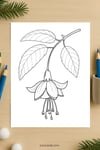 Fuchsia Flower Coloring Page for Kids | Printable Hanging Bloom Art PDF | US Letter | TutuCards Beautiful Flowers Series preview 4