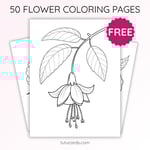 Fuchsia Flower Coloring Page for Kids | Printable Hanging Bloom Art PDF | US Letter | TutuCards Beautiful Flowers Series preview 1