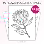Protea Flower Coloring Page for Kids | Printable Exotic Bloom Art PDF | US Letter | TutuCards Nature Study Series preview 1