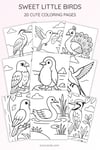 20 Birds Coloring Pages for Kids | Nature Learning Workbook | Printable PDF | US Letter | Preschool + Kindergarten Activity preview 8