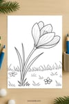 Crocus Flower Coloring Page for Kids | Printable Early Spring Art PDF | US Letter | TutuCards Nature Series preview 4