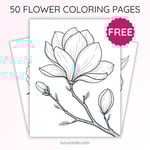 Magnolia Flower Coloring Page for Kids | Printable Floral Art PDF | US Letter | TutuCards Nature Series preview 1