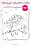 Cherry Blossom Coloring Page for Kids | Printable Spring Flower Art PDF | US Letter | TutuCards Nature Series preview 3