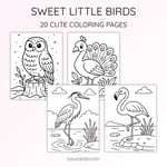 20 Birds Coloring Pages for Kids | Nature Learning Workbook | Printable PDF | US Letter | Preschool + Kindergarten Activity preview 5