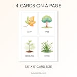 20 Cute Colorful Plant Flashcards | Printable Cards | 3.5x5 inch | Kids Learning & Classroom Decor preview 3
