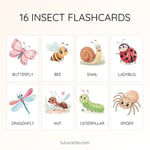 16 Cute Colorful Insect Flashcards | Printable Cards | 3.5x5 inch | Kids Learning & Classroom Decor preview 1