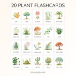 20 Cute Colorful Plant Flashcards | Printable Cards | 3.5x5 inch | Kids Learning & Classroom Decor preview 2