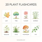 20 Cute Colorful Plant Flashcards | Printable Cards | 3.5x5 inch | Kids Learning & Classroom Decor preview 1
