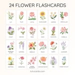 24 Cute Colorful Flower Flashcards | Printable Cards | 3.5x5 inch | Kids Learning & Classroom Decor preview 2