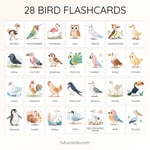 28 Cute Colorful Bird Flashcards | Printable Cards | 3.5x5 inch | Kids Learning & Classroom Decor preview 2