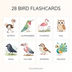 28 Cute Colorful Bird Flashcards | Printable Cards | 3.5x5 inch | Kids Learning & Classroom Decor preview 1
