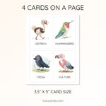 28 Cute Colorful Bird Flashcards | Printable Cards | 3.5x5 inch | Kids Learning & Classroom Decor preview 3