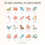 20 Cute Colorful sea Animal Flashcards | Printable Cards | 3.5x5 inch | Kids Learning & Classroom Decor  preview 3