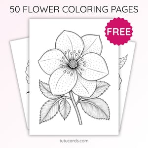 Hellebore Flower Coloring Page for Kids | Printable Winter Bloom Art PDF | US Letter | TutuCards Nature Study Series - coloring_pages
