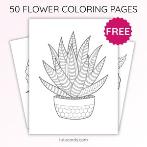 Cute Haworthia Stripes Coloring Page for Kids | Printable Succulent Art PDF | US Letter | TutuCards Home & Garden Series - coloring_pages