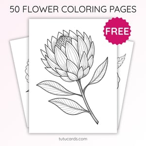 Protea Flower Coloring Page for Kids | Printable Exotic Bloom Art PDF | US Letter | TutuCards Nature Study Series - coloring_pages