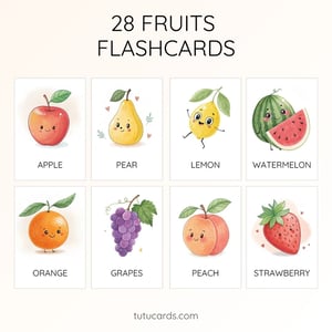 28 Cute Colorful Fruit Flashcards  | Printable Cards | 3.5x5 inch - flashcards