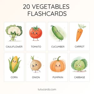 20 Cute Colorful Vegetable Flashcards  | Printable Cards | 3.5x5 inch - flashcards