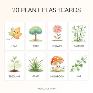 20 Cute Colorful Plant Flashcards | Printable Cards | 3.5x5 inch | Kids Learning & Classroom Decor - flashcards