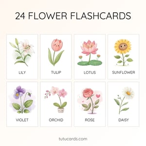 24 Cute Colorful Flower Flashcards | Printable Cards | 3.5x5 inch | Kids Learning & Classroom Decor - flashcards