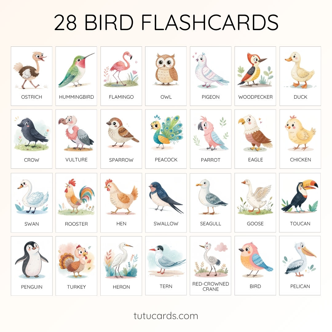 28 Cute Colorful Bird Flashcards | Printable Cards | 3.5x5 inch | Kids ...